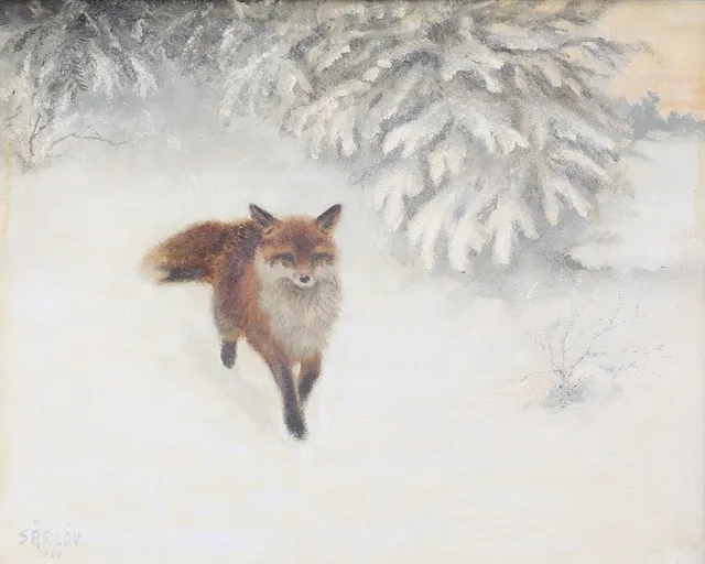 MALTE SÄRLÖV. "Räv i vinter". Olja på pannå, signerad och daterad 1950.