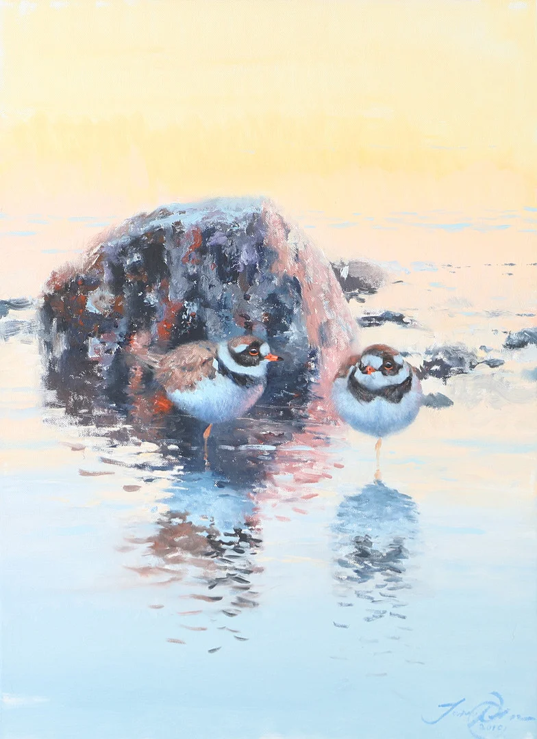 JONAS NILSSON. "Större strandpipare", olja på duk, signerad 2010. — Paintings — Helsingborgs Auktionskammare