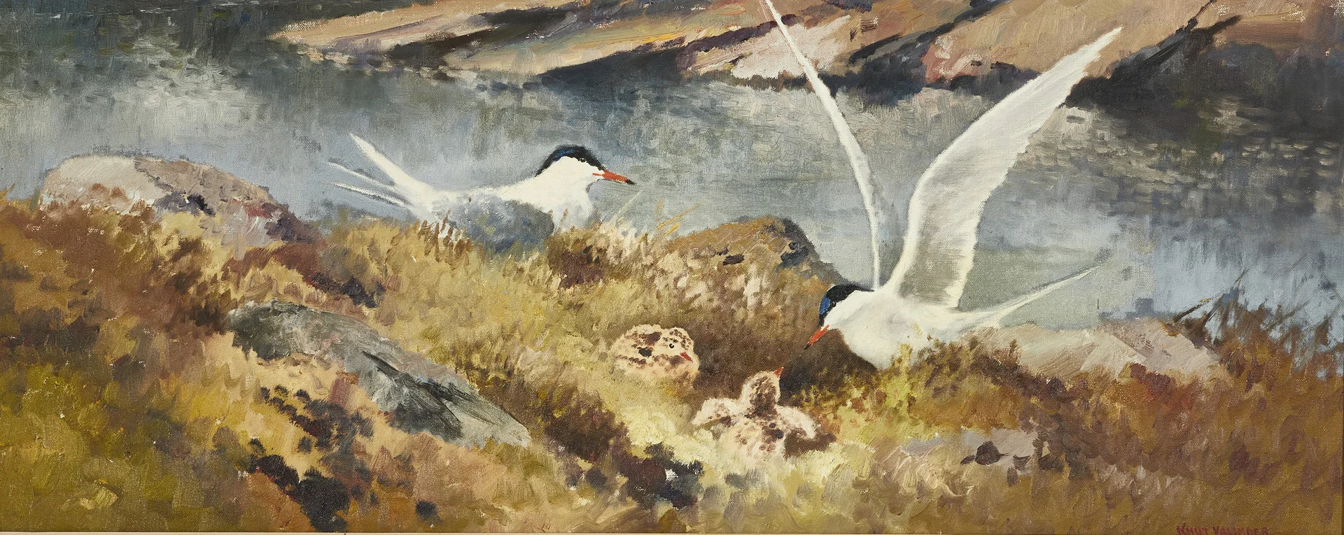 KNUT VALINDER (1901-1987). Fisktärnor, signerad, olja på duk. — Paintings — Crafoord Auktioner Stockholm