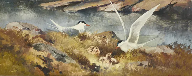 KNUT VALINDER (1901-1987). Fisktärnor, signerad, olja på duk.