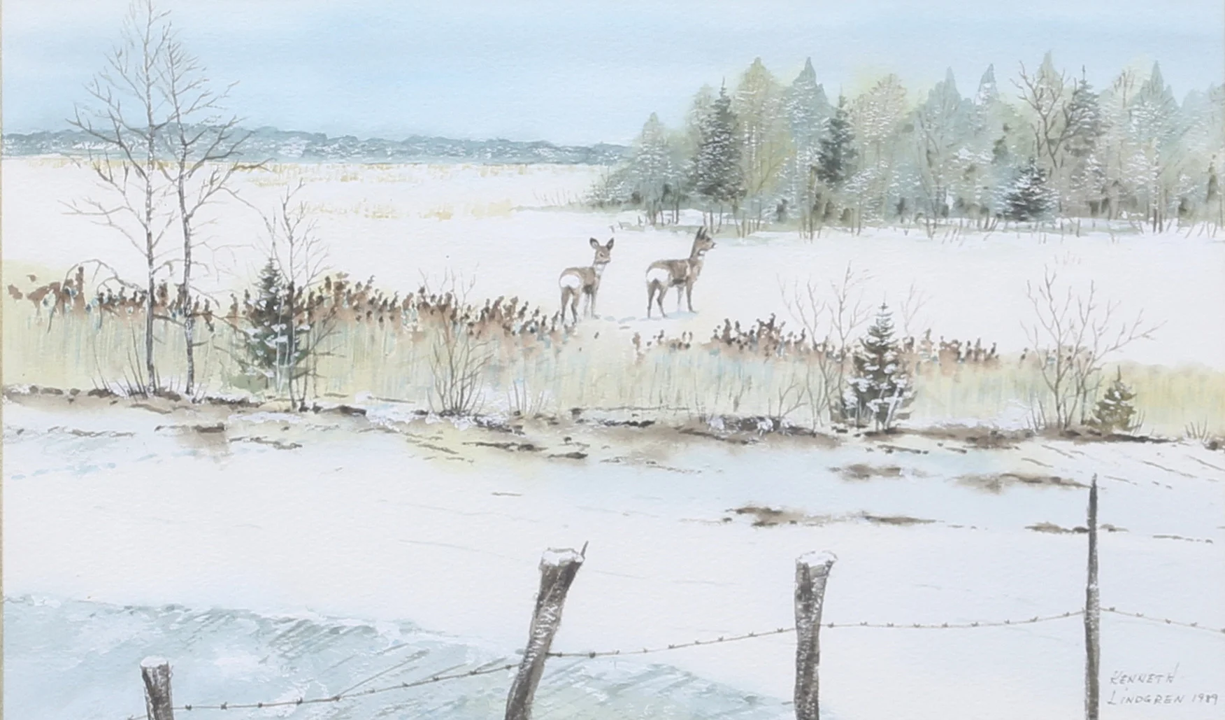 KENNETH LINDGREN. "Rådjur på vinterisen". Akvarell, signerad och daterad 1989. — Paintings — Auktionshuset Thelin & Johansson