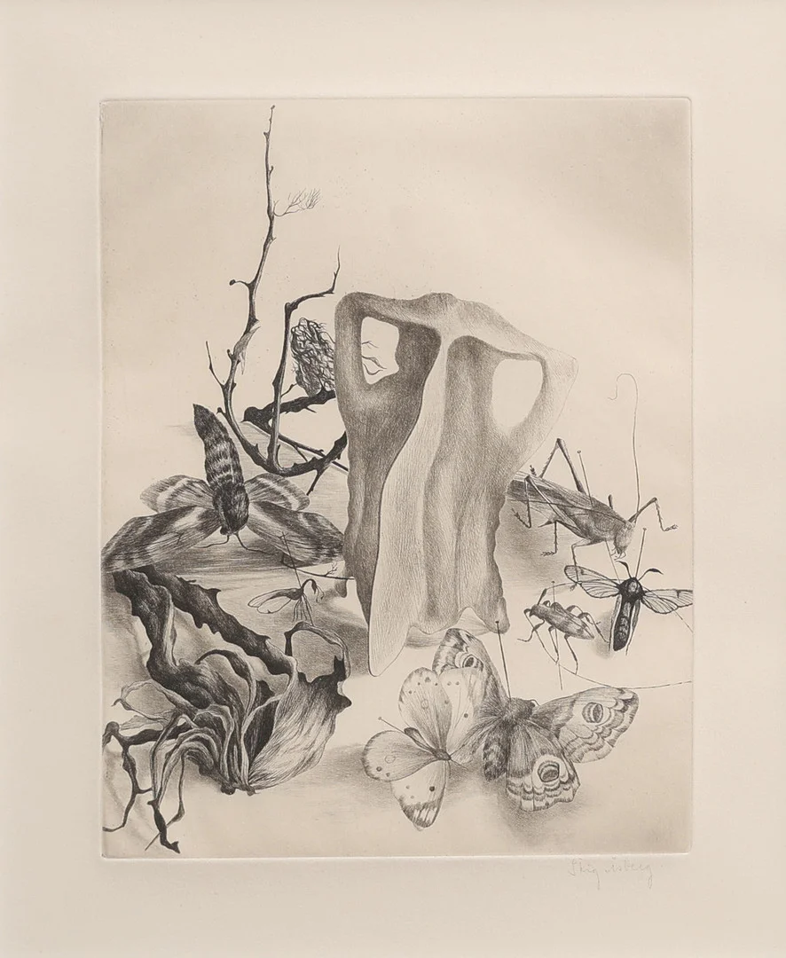 STIG ÅSBERG (1909-68). “STILLEBEN MED FÅGELBEN OCH INSEKTER”. — Engravings & Prints — Crafoord Auktioner Lund