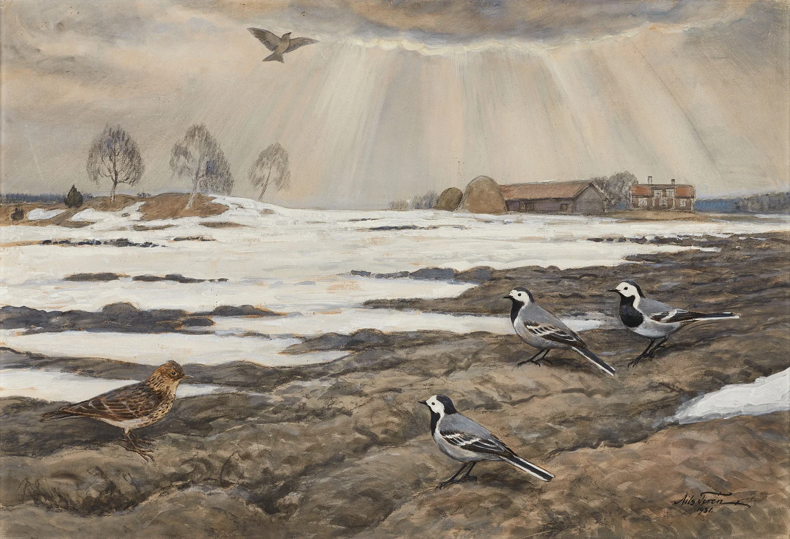 NILS TIRÉN (1885-1935). Sädesärlor i vinterlandskap, signerad och daterad 1931, gouache och täckvitt på pappannå. — Paintings — Crafoord Auktioner Stockholm