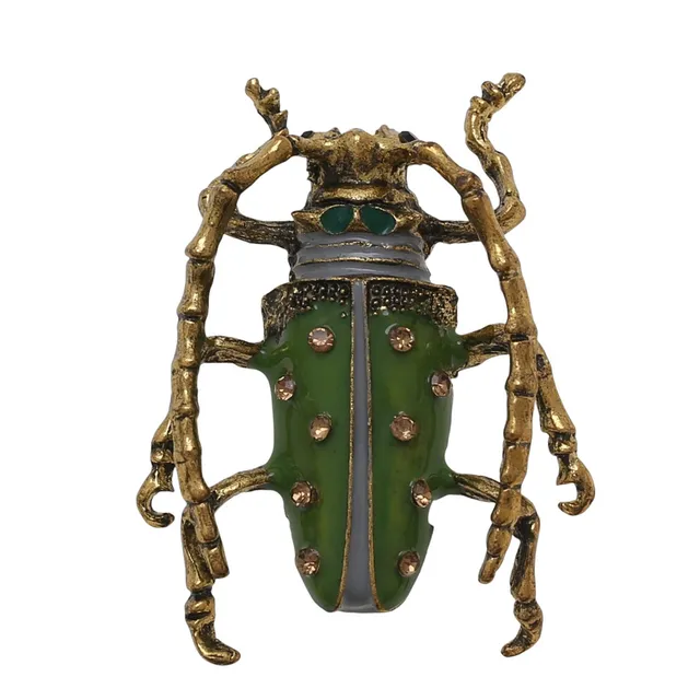 Beetle-shaped brooch.
