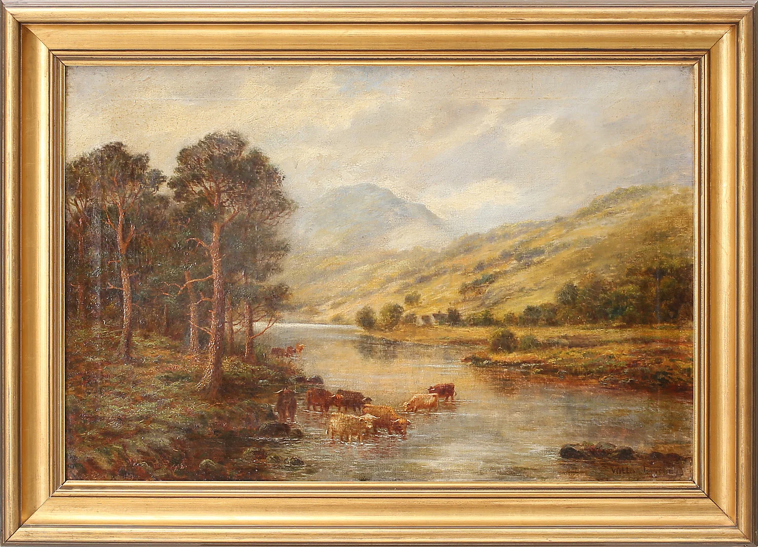 WILLIAM LANGLEY. Engelska longhorns på skotska höglandet, olja på duk, signerad. — Paintings — Garpenhus Auktioner