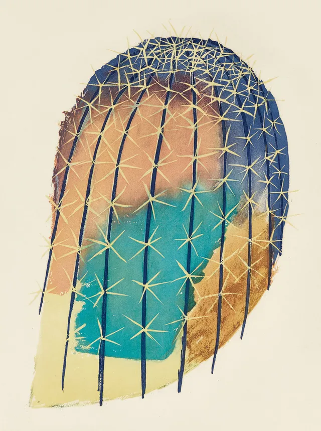 MAN RAY (USA, 1890-1976): Transfiguration d ún cactus, 1971, signerad och numrerad 70/99, etsning/färgakvatint.