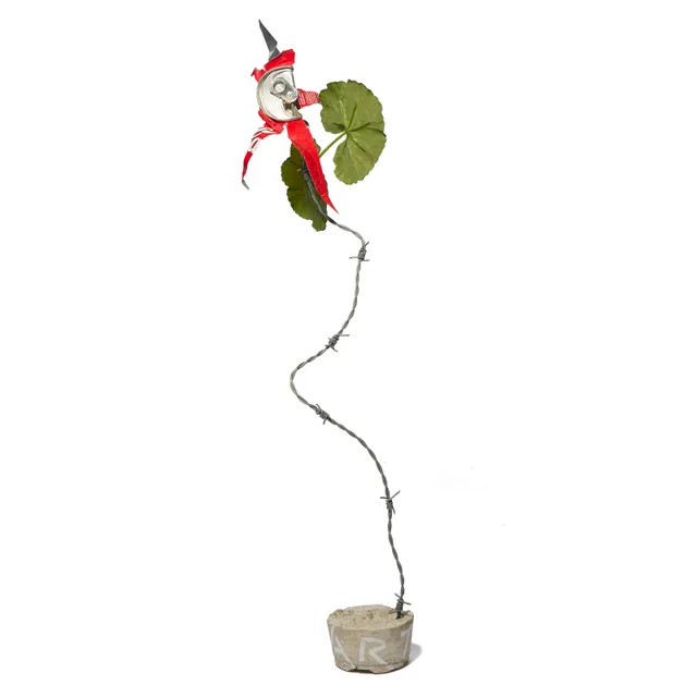 Slettemark, Kjartan — Coca Cola-rose, 2000-tallet