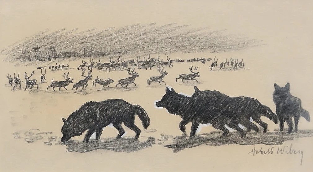 HARALD WIBERG. Landskap med vargar och renar. Teckning, signerad. — Drawings — Gomér & Andersson Linköping