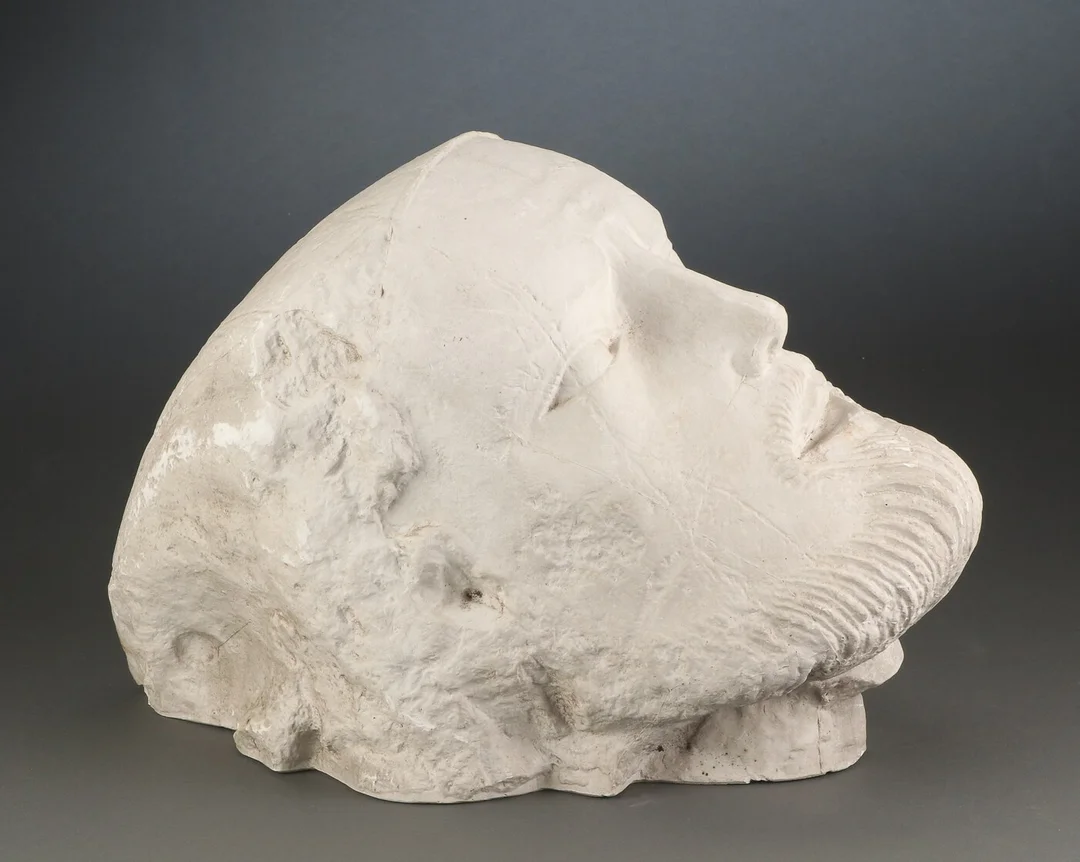 Ubekendt kunstner. Mandshoved af gips — Paintings and sculptures/Sculptures — Lauritz