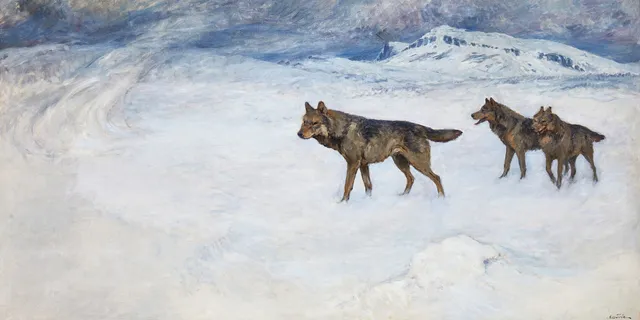 NILS TIRÉN. Vargar på fjället.