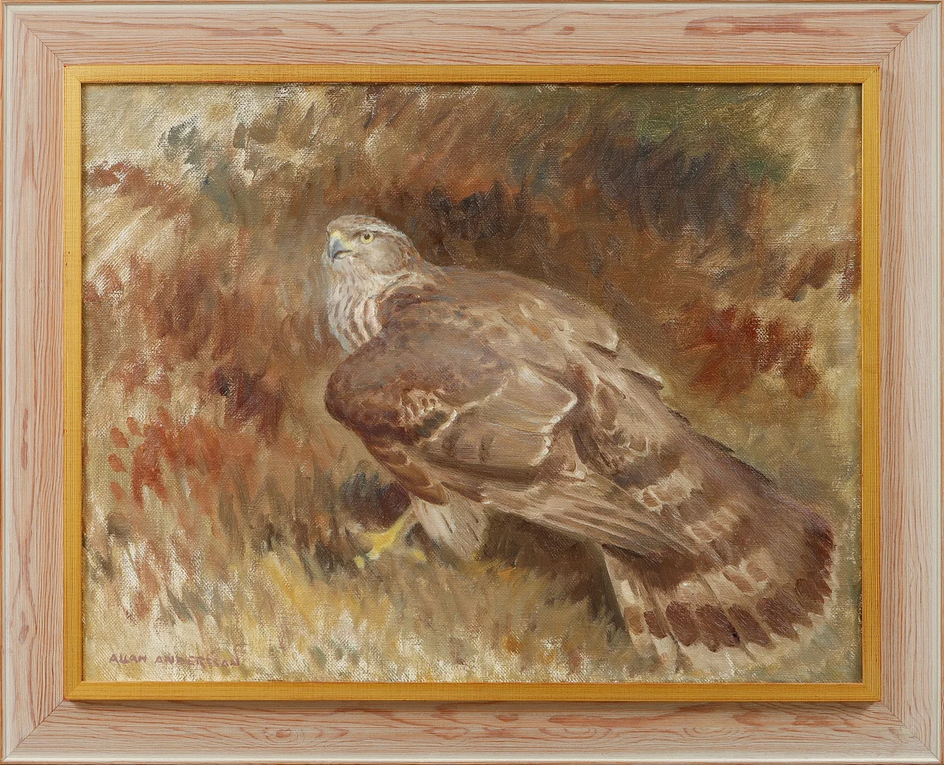 ALLAN ANDERSSON. "Ung duvhök", olja på duk, signerad. — Paintings — Göteborgs Auktionsverk