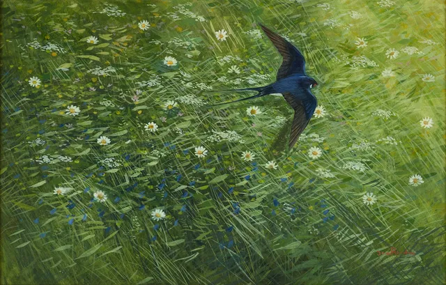 JAN RHODIN (FÖDD 1938). Svala i sommargräs, signerad Jan Rhodin, akvarell.