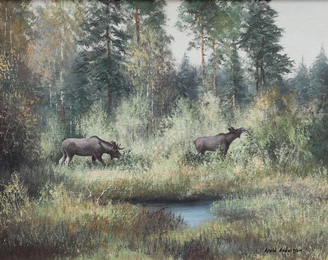 ARVID ANDERSSON. olja på duk, älgar, signerad. — Paintings — Auktionsmagasinet Vänersborg