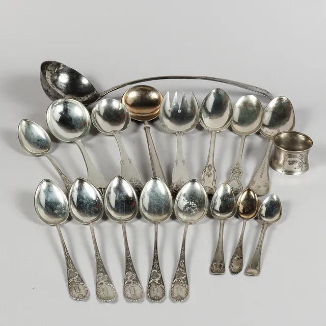 DIVERSE SILVER.