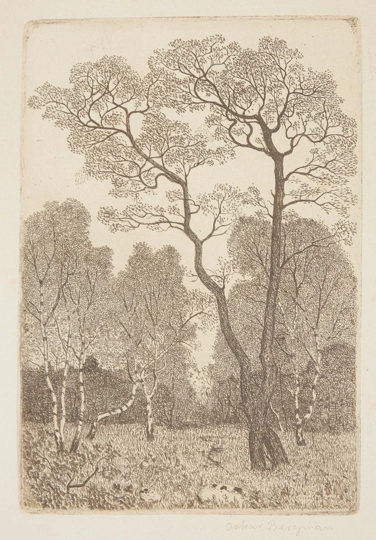 OSKAR BERGMAN. Björkskog, etsning, signerad. — Engravings & Prints — Stockholms Auktionsverk Sickla