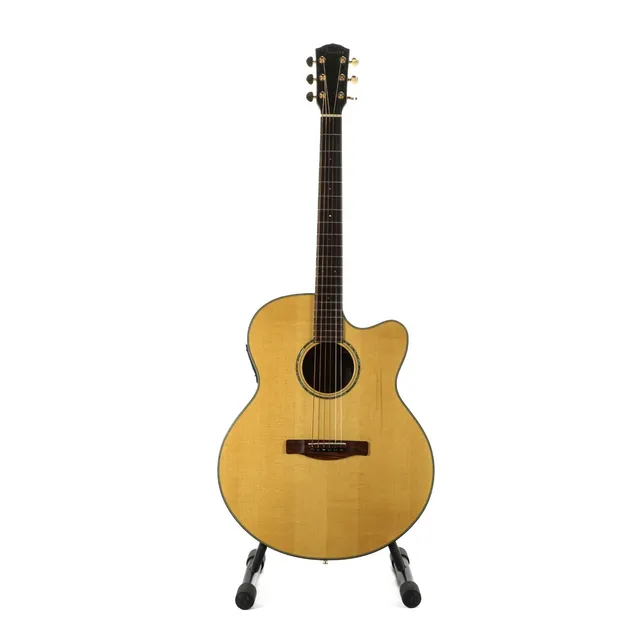 Acoustic guitar. Fender