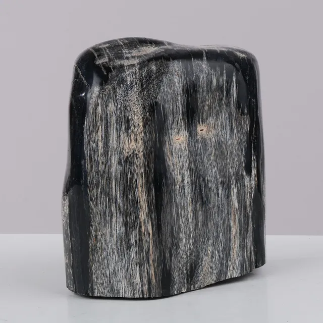 Skulptur af forstenet træ.