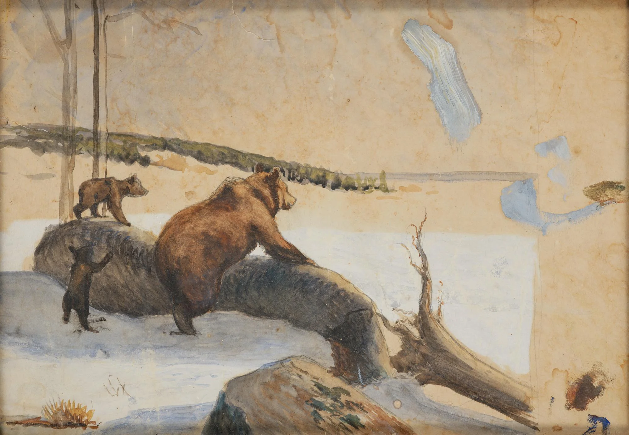 Bruno Liljefors, Björnfamilj. — Konst/Klassisk svensk konst — Bukowskis