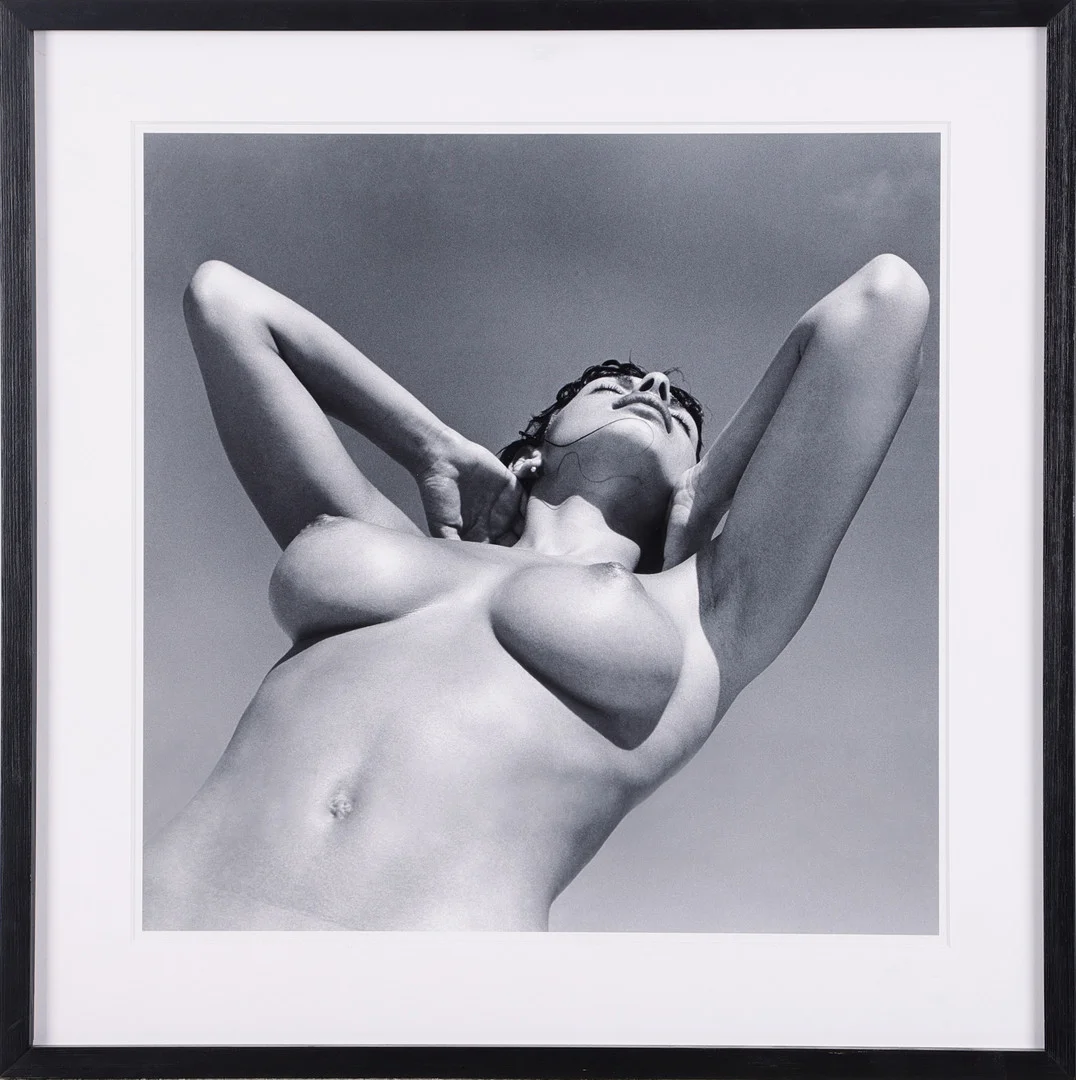 ANDRE DE DIENES (USA,1913-1985). Nakenmodell, upplaga om 200, fineart print, certifikat a tergo. — Photography — Stockholms Auktionsverk Magasin 5