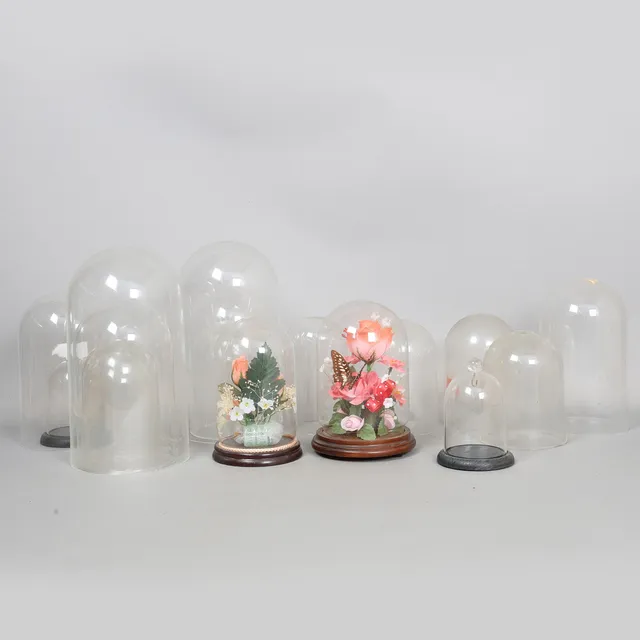 A COLLECTION OF CLEAR DISPLAY DOMES (QTY).