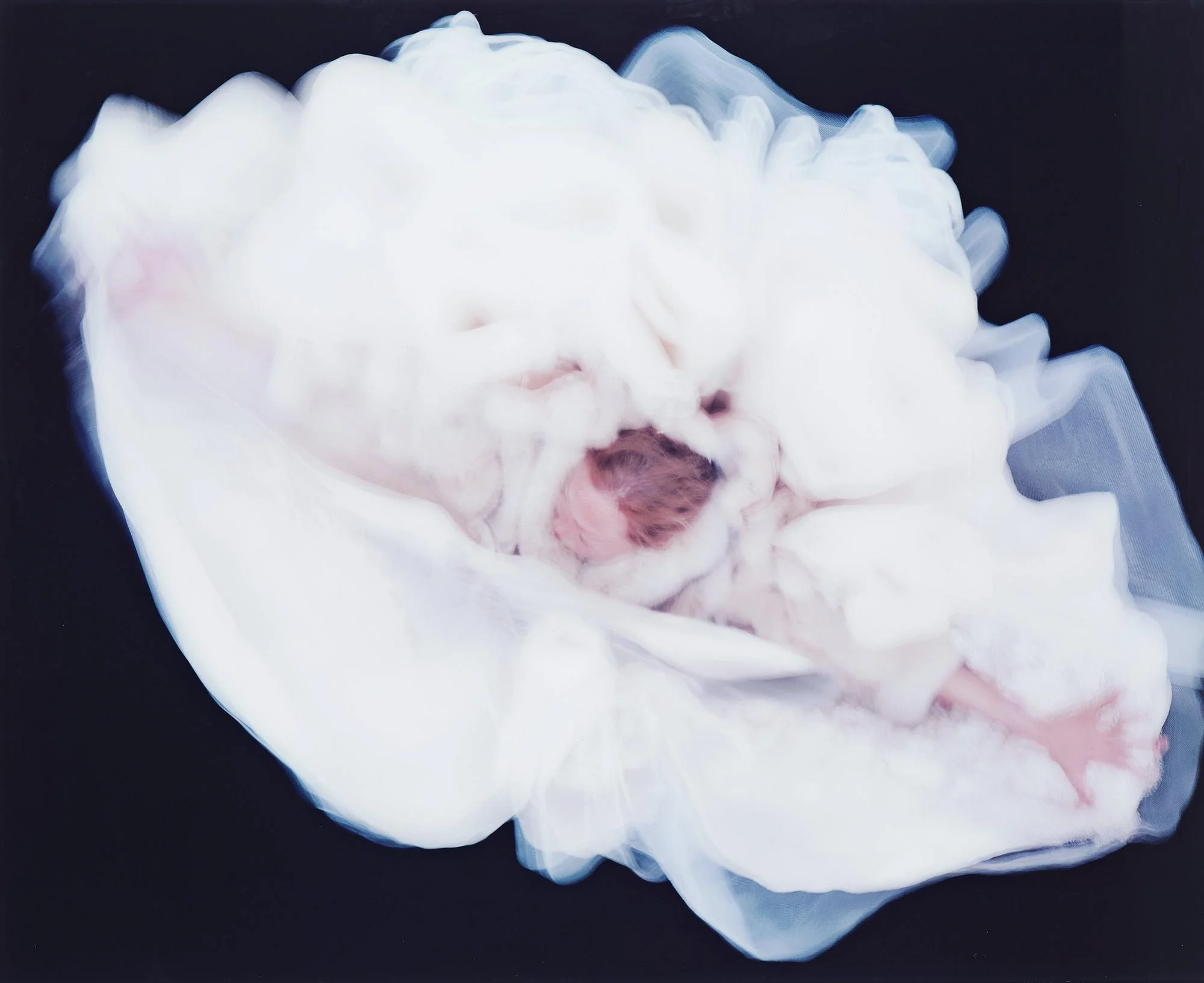 Charlotte Gyllenhammar, "Hang V", 2006. — Bukowskis