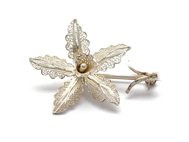 Brosch Silver, 5cm 5g