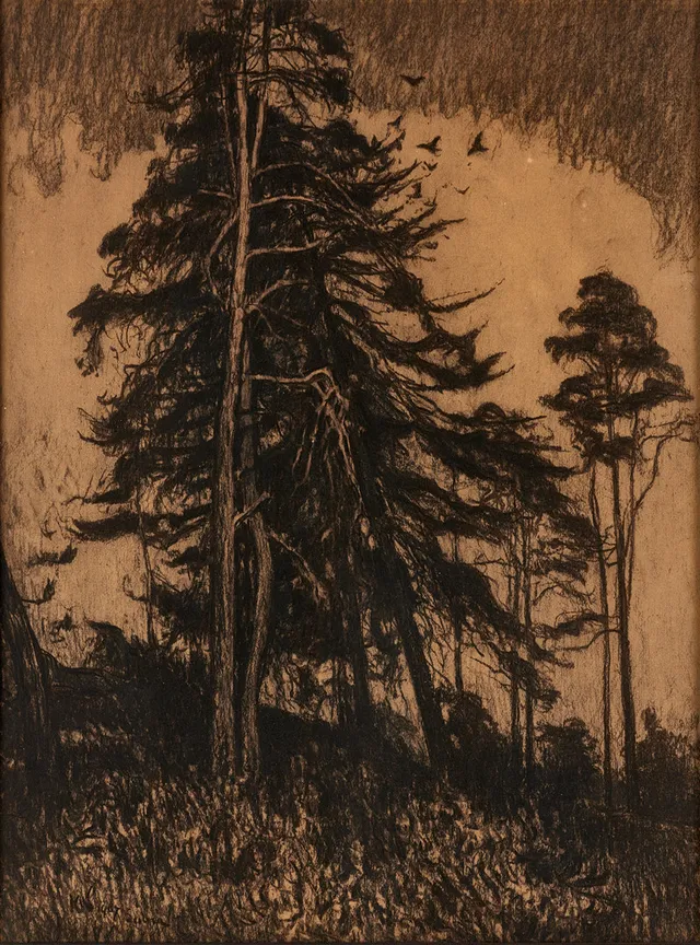KARL NORDSTRÖM (Tjörn 1855-1923 Drottningholm). "Gran och furor", signerad, daterad 1907, kol med underlagd akvarell på papper.