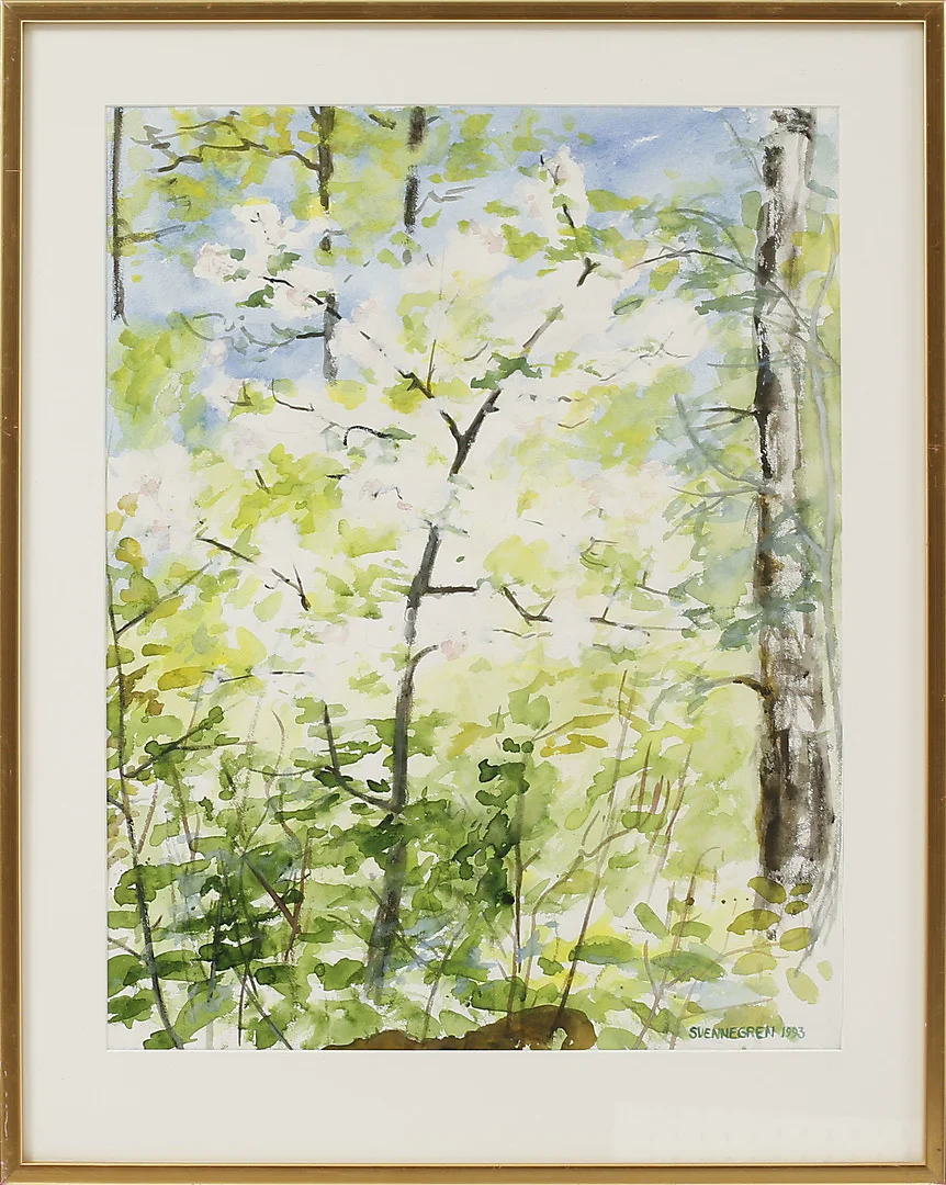 SOLVEIG SVENNEGREN. "Blommande vildapel", akvarell, signerad. — Paintings — Göteborgs Auktionsverk