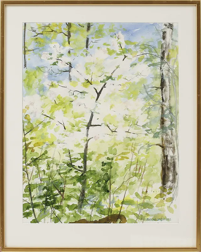 SOLVEIG SVENNEGREN. "Blommande vildapel", akvarell, signerad.