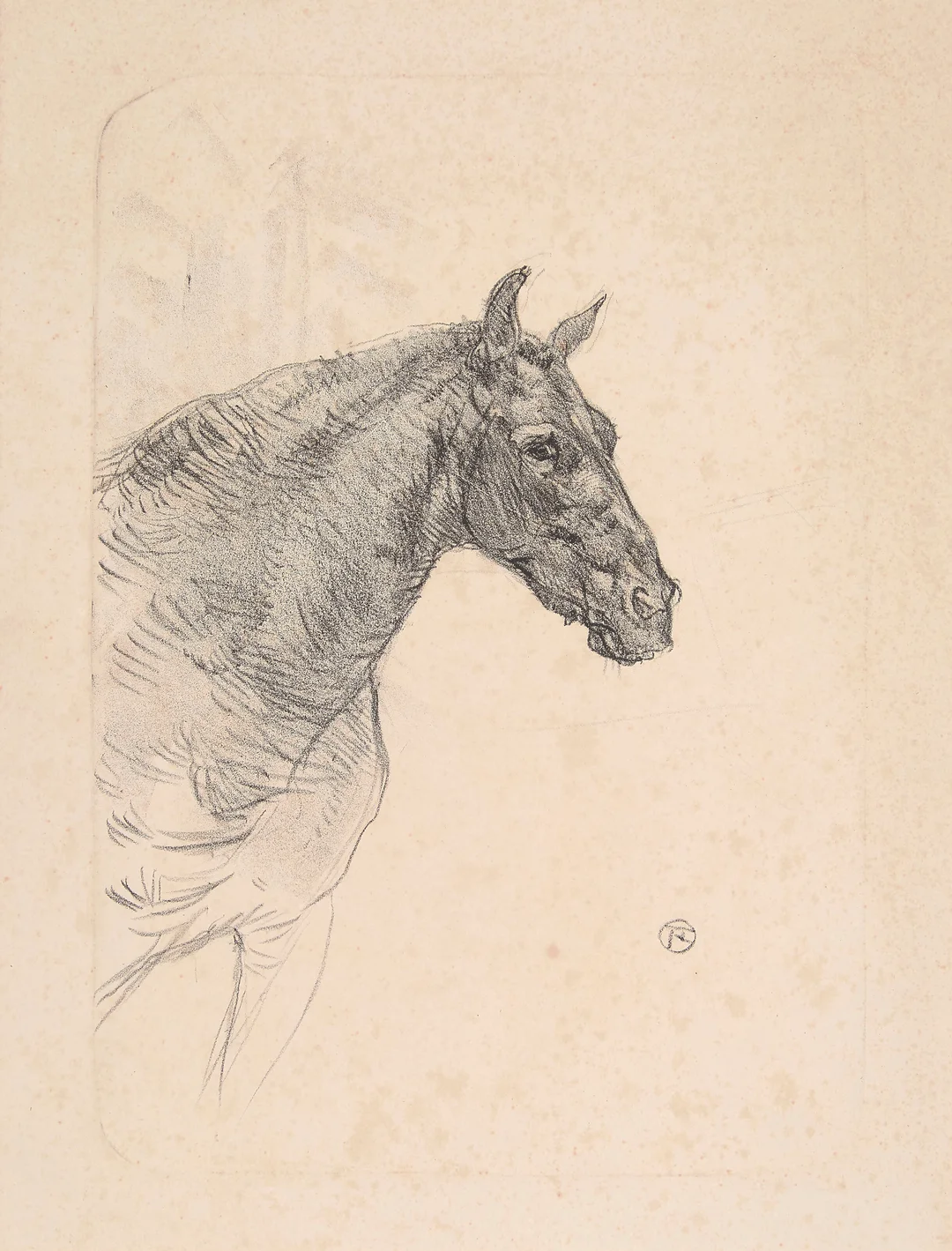 Toulouse-Lautrec, Henri de — "Le poney Philibert" 1898 — Kunst/Grafikk — Blomqvist