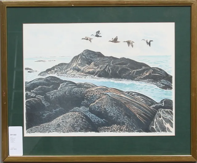 GÖTE GÖRANSSON. Färglitografi, signerad och numrerad 13/250.