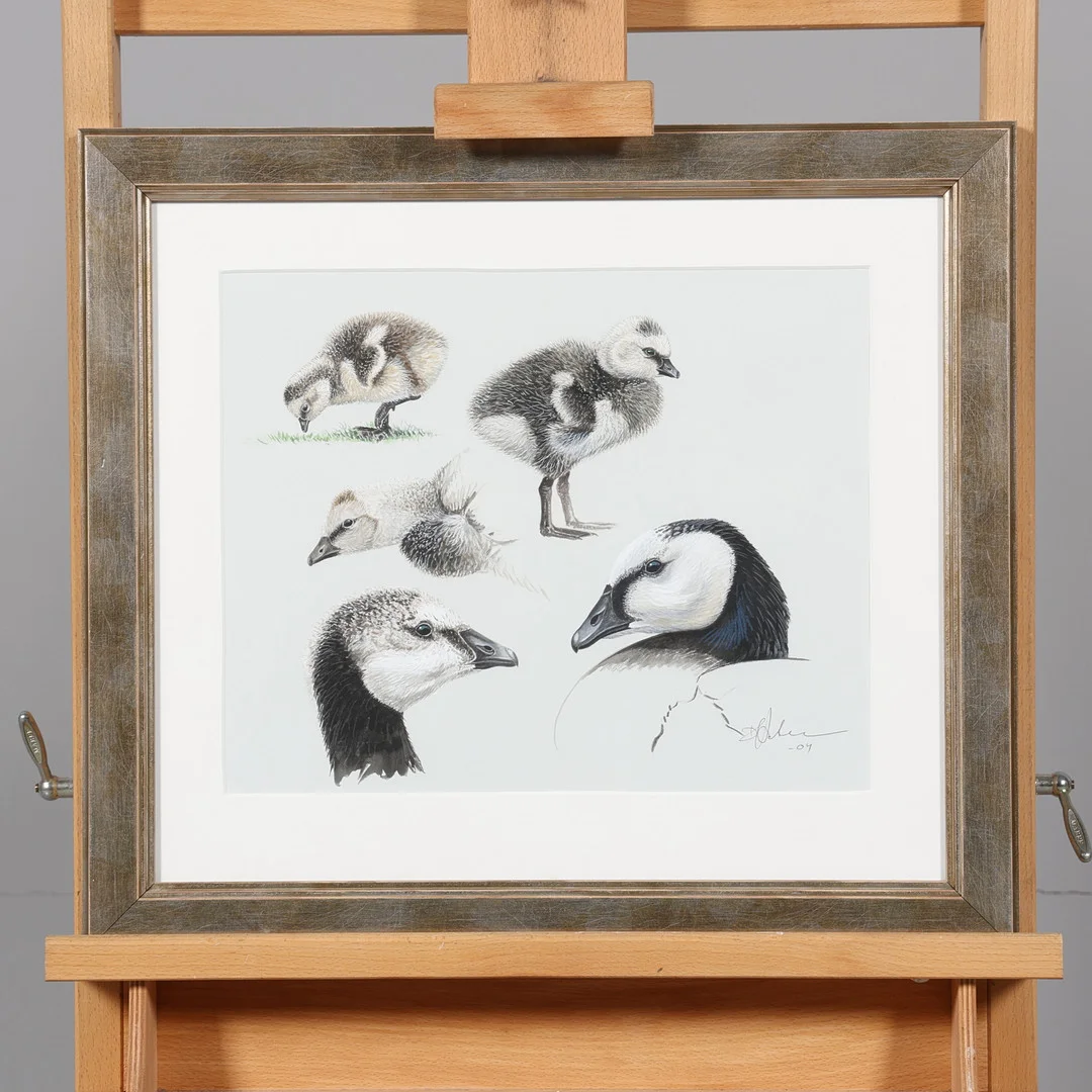 DAG PETERSON. AKVARELL, fåglar, signerad samt daterad -04. — Paintings — Borås Auktionshall