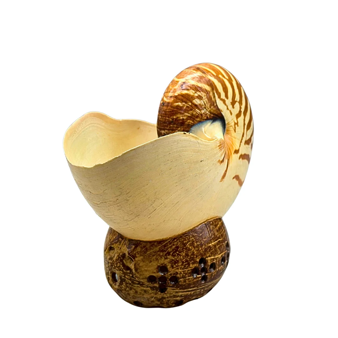 ECHTE NAUTILUS MUSCHEL AUF EINEM SOCKEL. — Other collectables — Auktionshaus Stuber's Hammerschlag