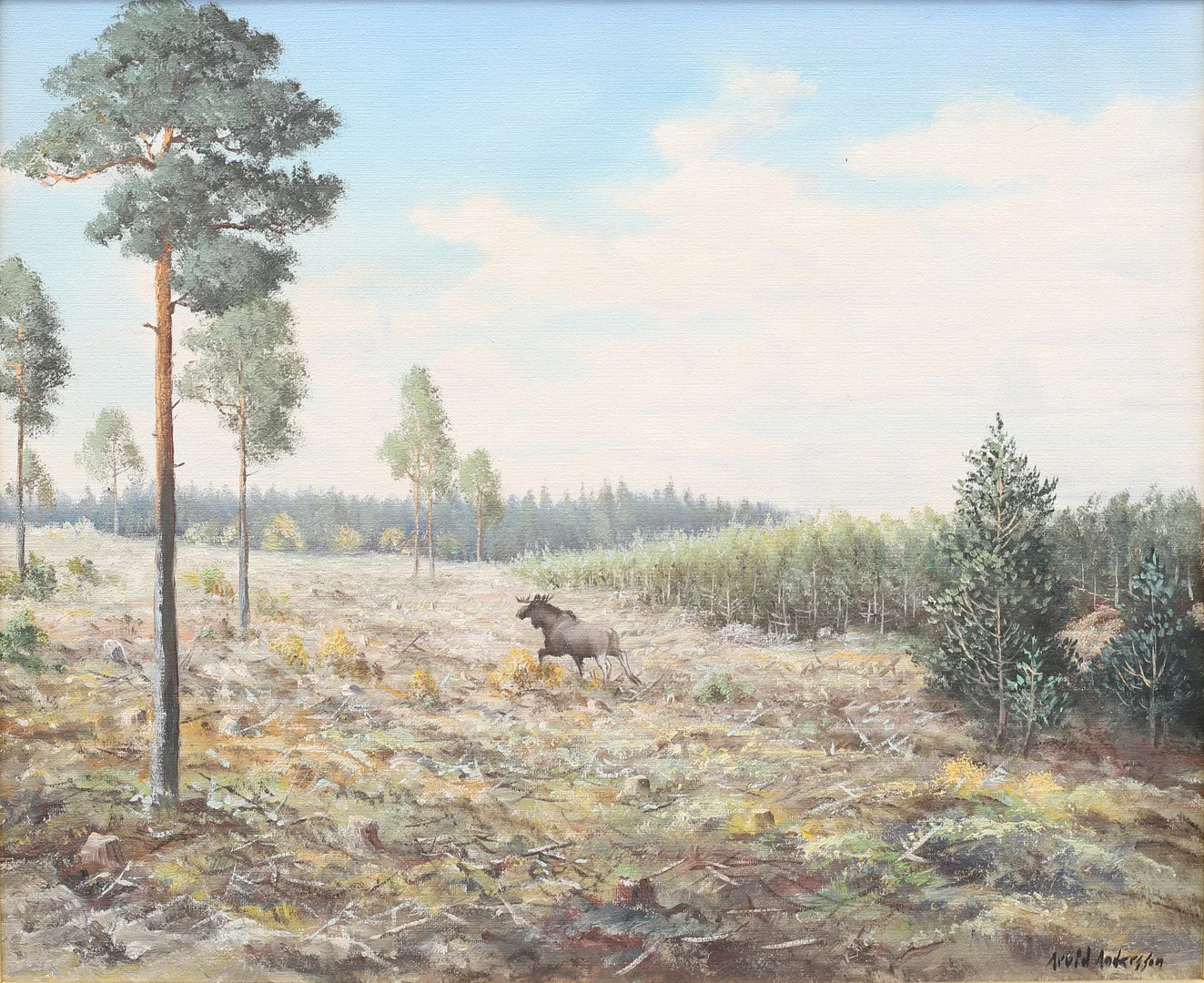 ARVID ANDERSSON (1934 - 2001). Älg i skogslandskap, olja på duk, signerad. — Paintings — Garpenhus Auktioner