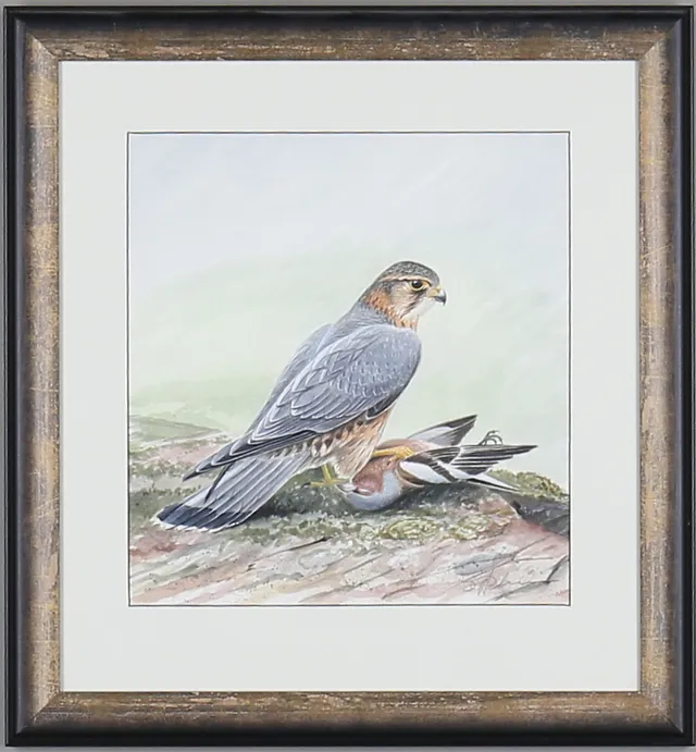 DAG PETTERSSON. Fågel, akvarell, signerad.