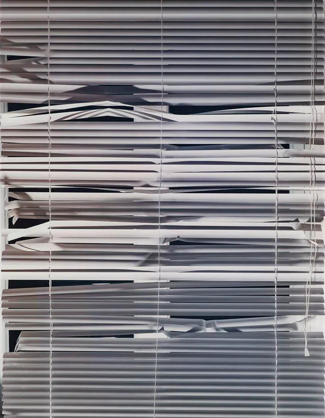 Annika Elisabeth von Hausswolff, "Forced Entry by Proxy", 2004.
