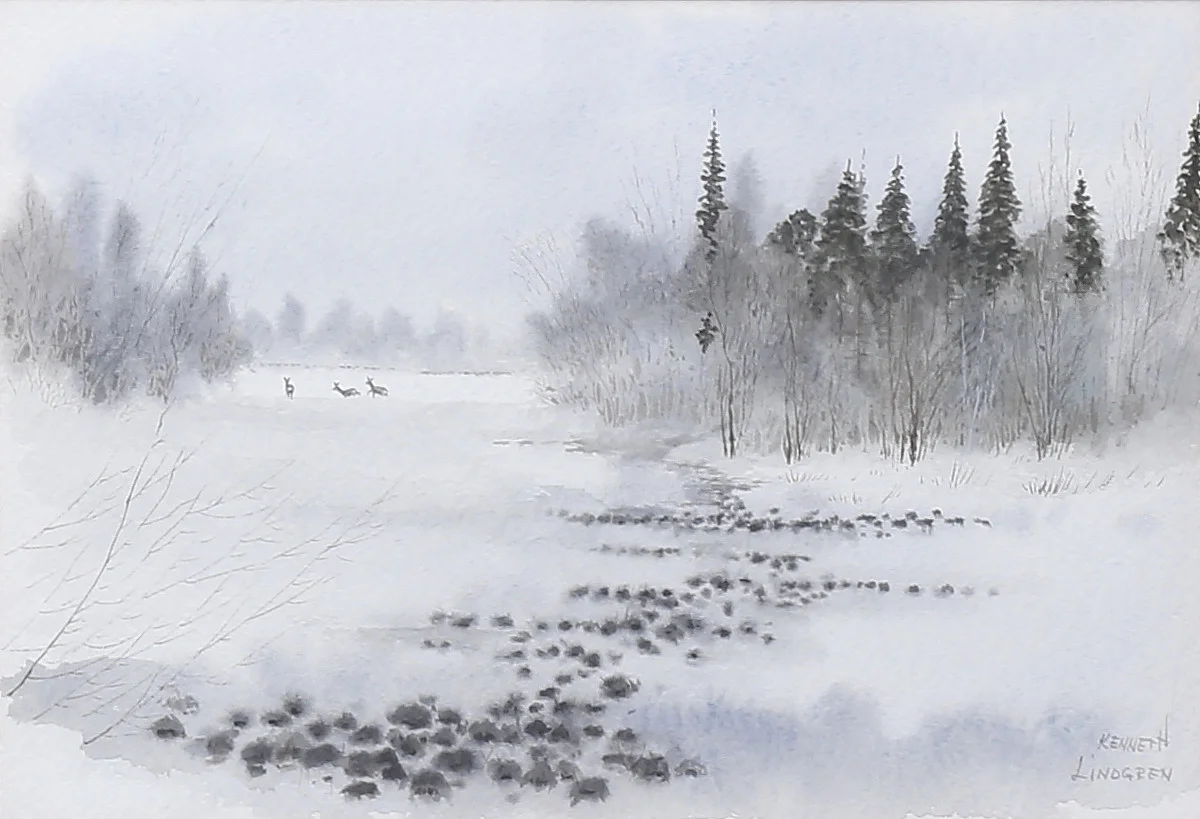 KENNETH LINDGREN. Vintermotiv med rådjur. Akvarell, signerad. — Paintings — Auktionshuset Thelin & Johansson