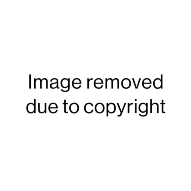 Francis Bacon, "Study for portrait of Pope Innocent X".