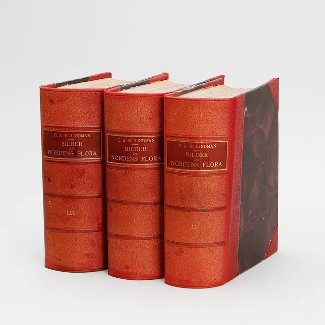 BILDER UR NORDENS FLORA, 3 volymer, C.A.M. Lindman, Isaac Marcus Boktryckeri, Stockholm, 1922-1926.