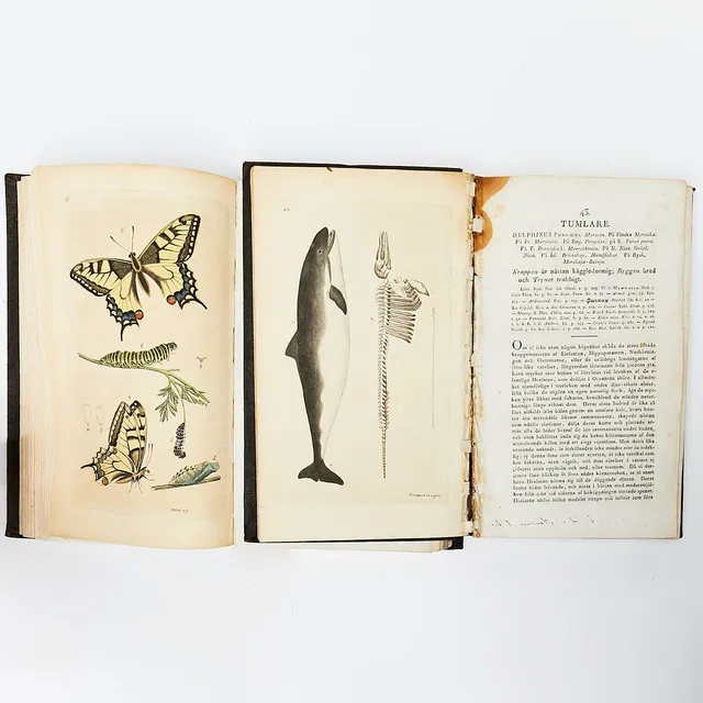 SVENSK ZOOLOGI, I-II, 1806. utgifven af J. W. Palmstruch. Med text börjad af C. Quensel. Och fortsatt af O. Swartz, med graverade och handkolorerade planscher, inb.