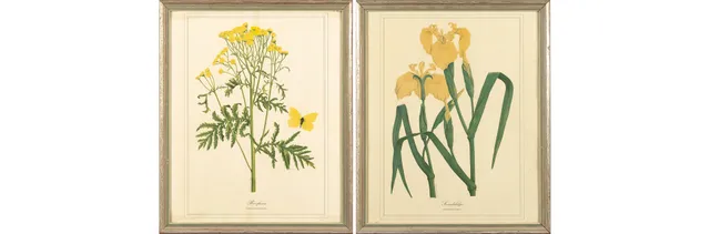 ÄLDRE INRAMADE TRYCK. Ett par, blommor.