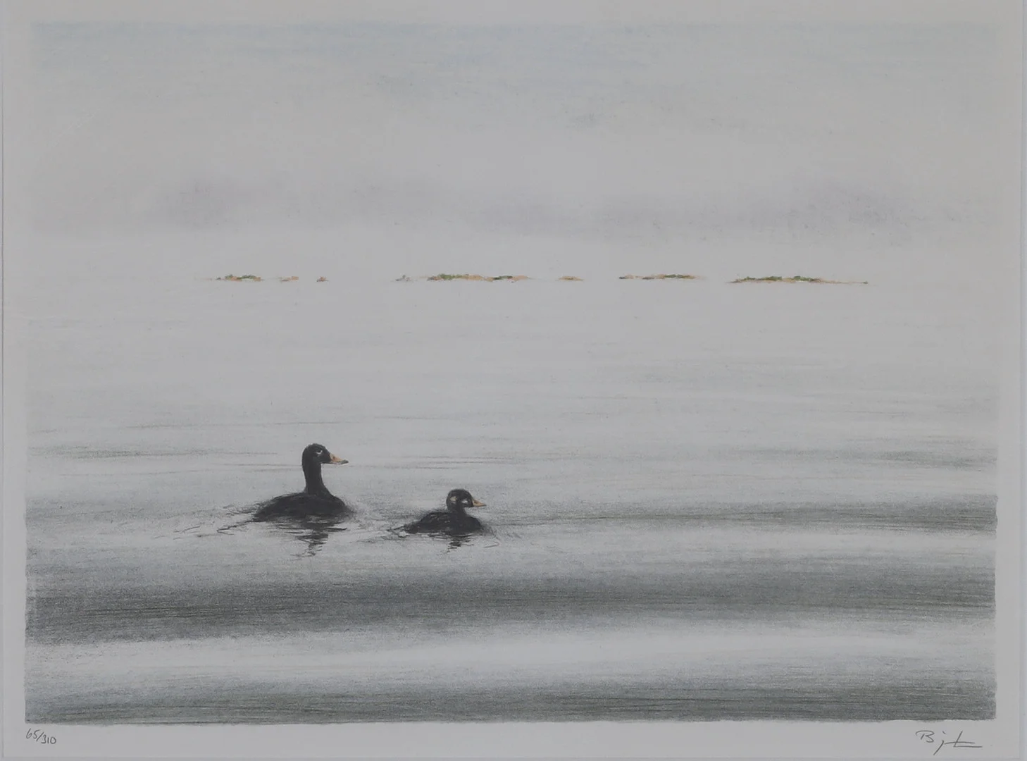 BJÖRN LINDROTH. färglitografi, signerad samt numrerad 63/310. — Engravings & Prints — Gomér & Andersson Norrköping