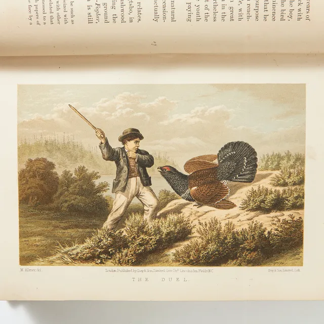 LLOYD, THE GAME BIRDS AND WILD FOWL OF SWEDEN AND NORWAY, FÄRGLITOGRAFIER, 1867.
