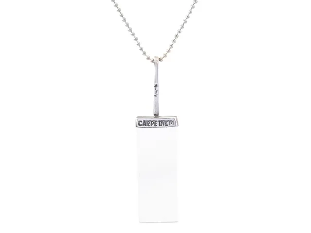 EFVA ATTLING, hänge med kedja, Carpe Diem, sterlingsilver, förstoringsglas, nagg, originaletui.