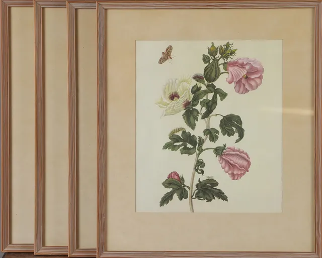 OKÄND KONSTNÄR. Blommor, 4 stycken inramade planscher.