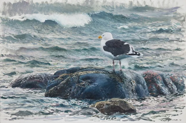 LARS JONSSON. "Svart sten, havstrut".