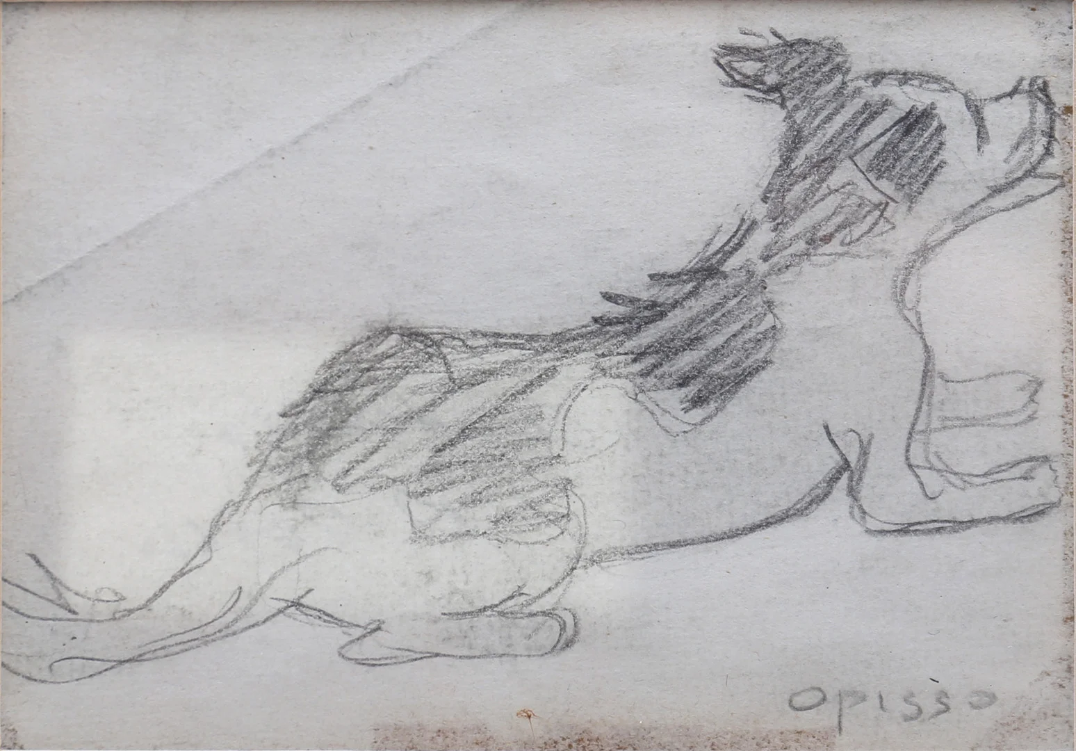 RICARD OPISSO. A dog. — Drawings — Balclis