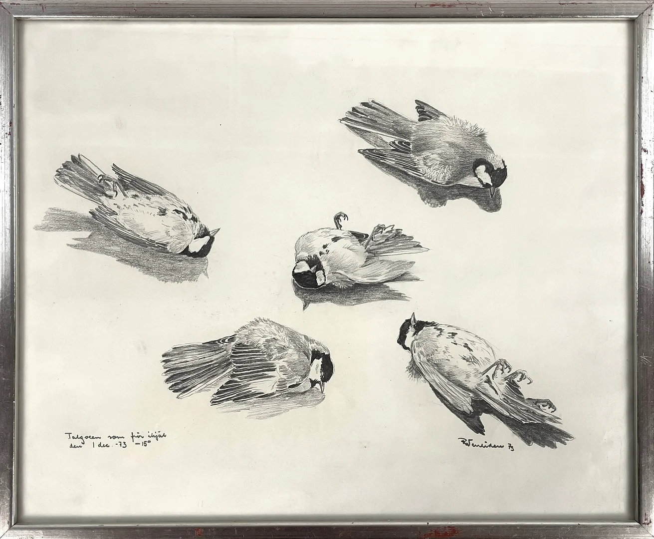 RUNE WENLIDEN (F. 1935), teckning, "Talgoxen som frös ihjäl den 1 dec -73 -15 C", signerad samt daterad -73. — Drawings — Roslagens Auktionsverk