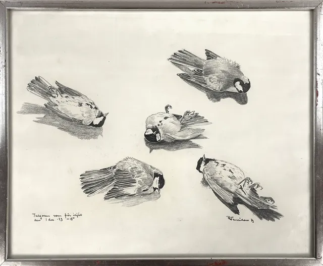 RUNE WENLIDEN (F. 1935), teckning, "Talgoxen som frös ihjäl den 1 dec -73 -15 C", signerad samt daterad -73.