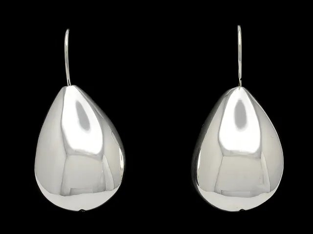 ÖRHÄNGEN, sterling silver, krok